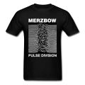 Merzbow pulse division.jpg