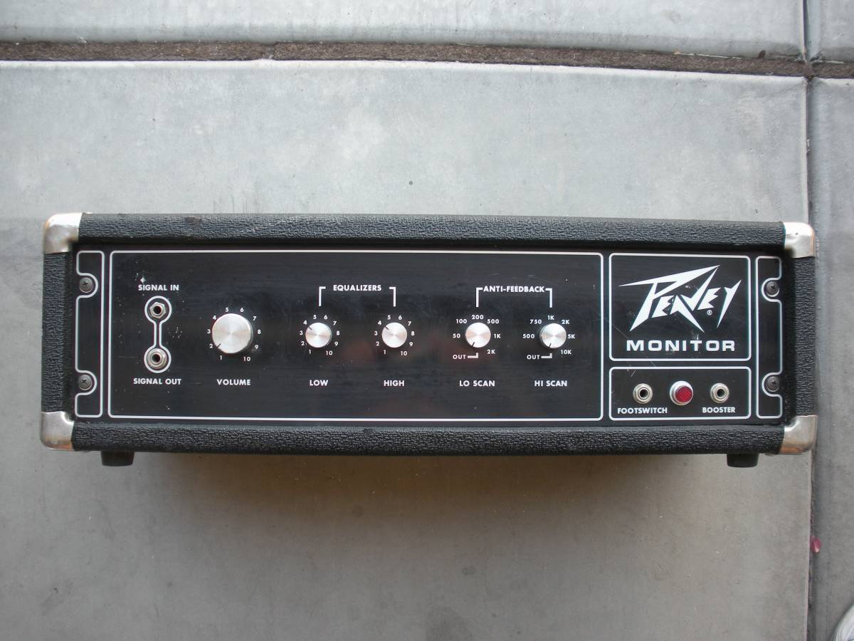 peavey monitor.jpg