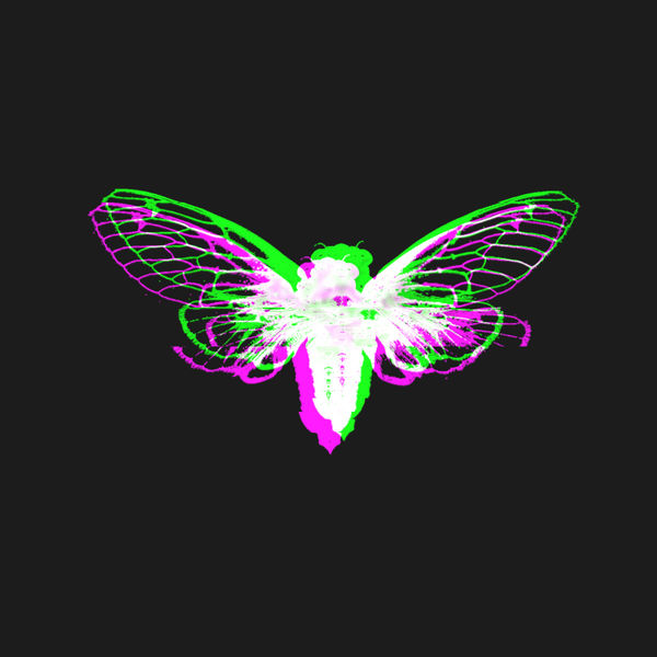 Cicada-3301.jpg